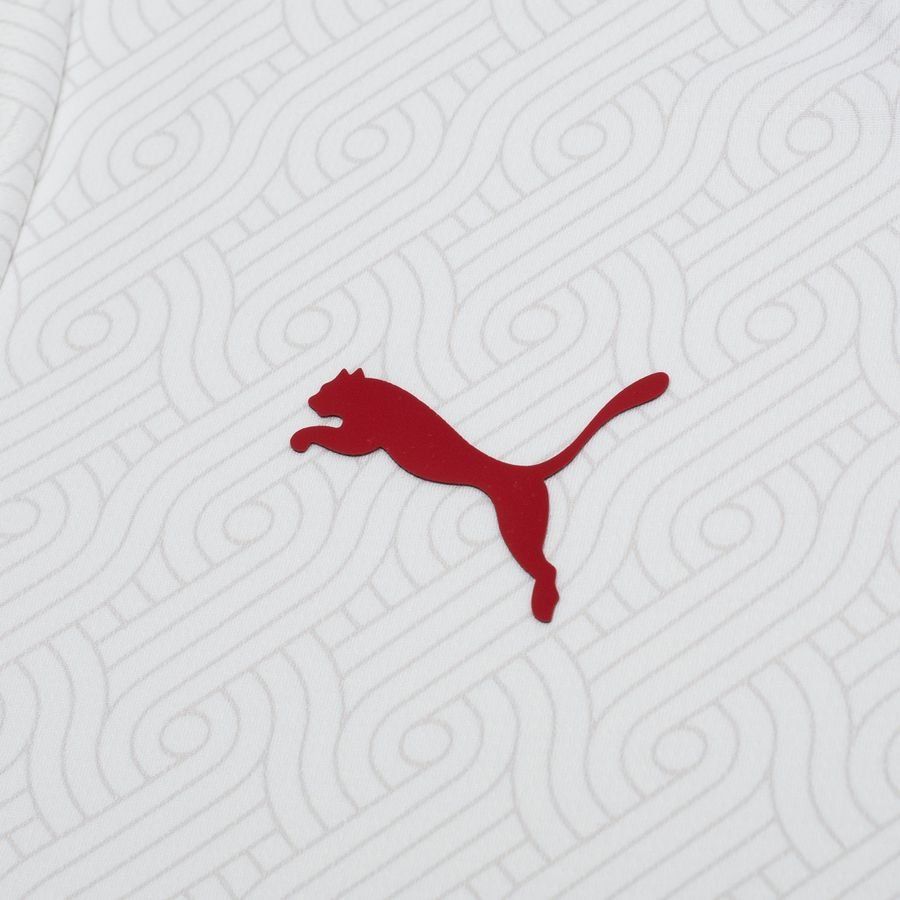 Galatasaray Maillot Extérieur 2024/25