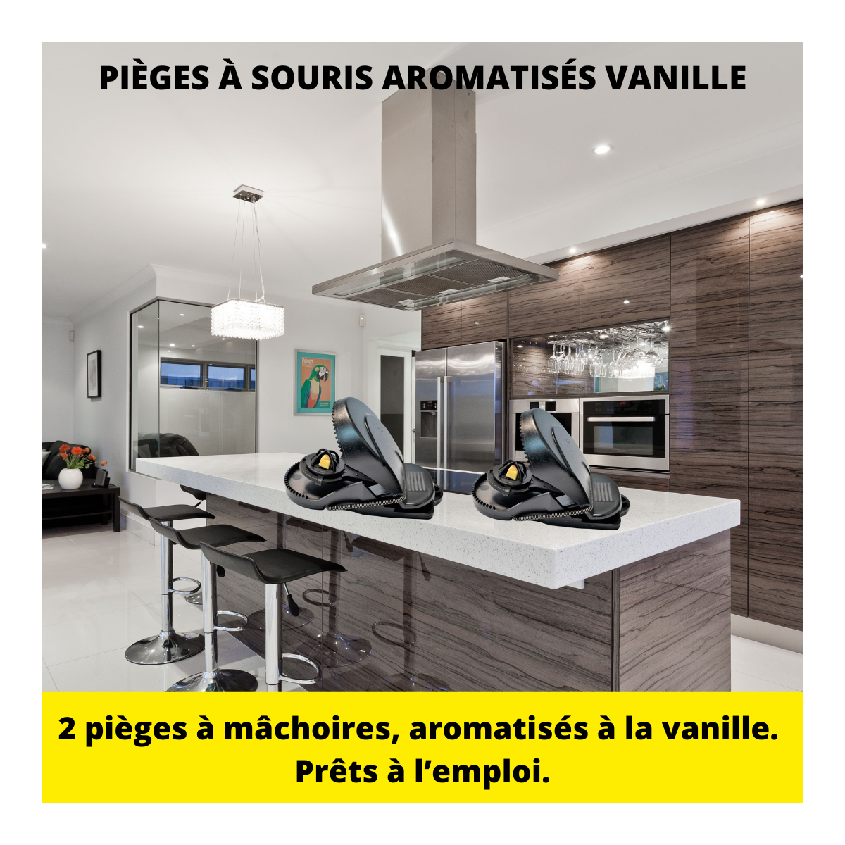 Acto pièges à souris aromatisés vanille