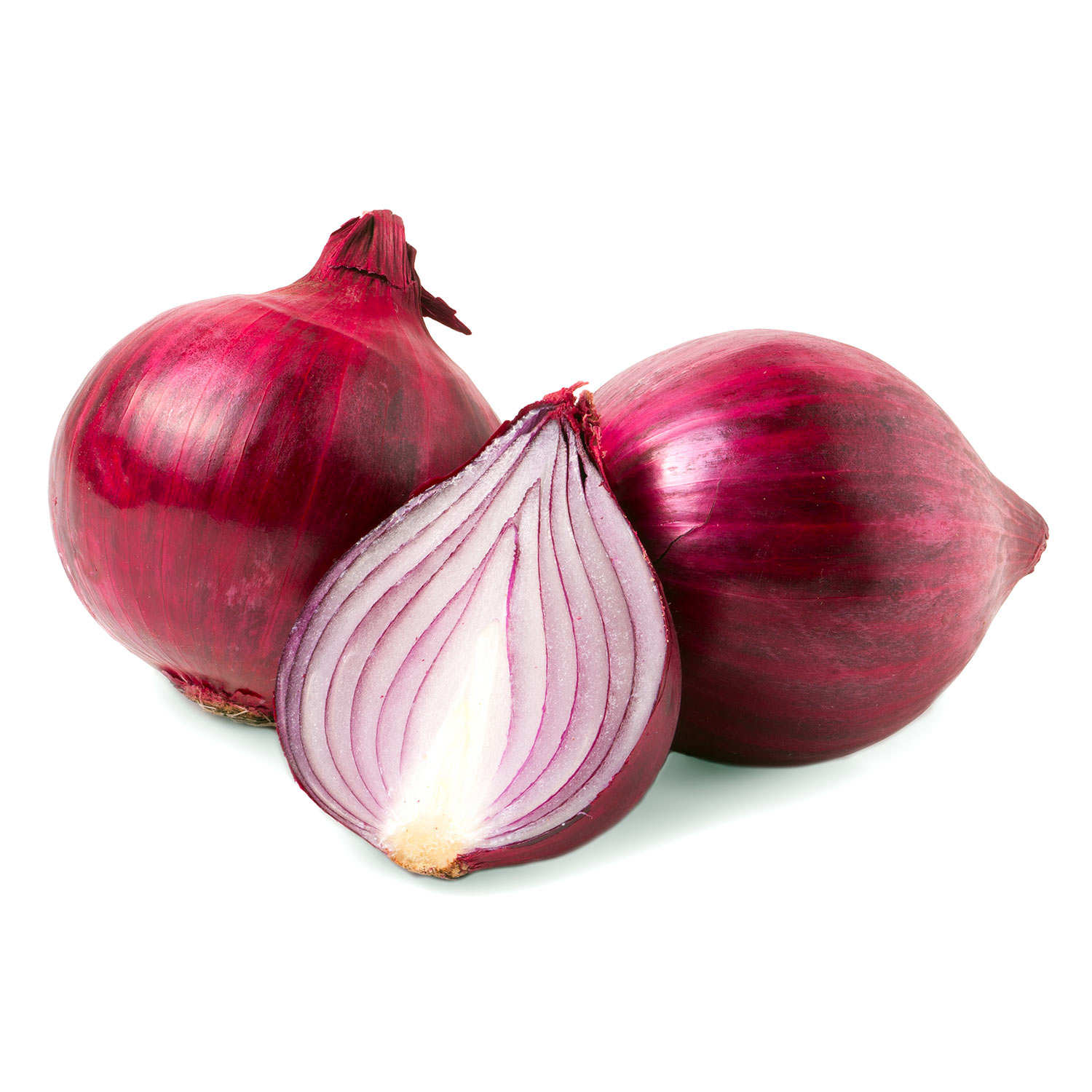 Oignon rouge frais bio (de Toulouges)