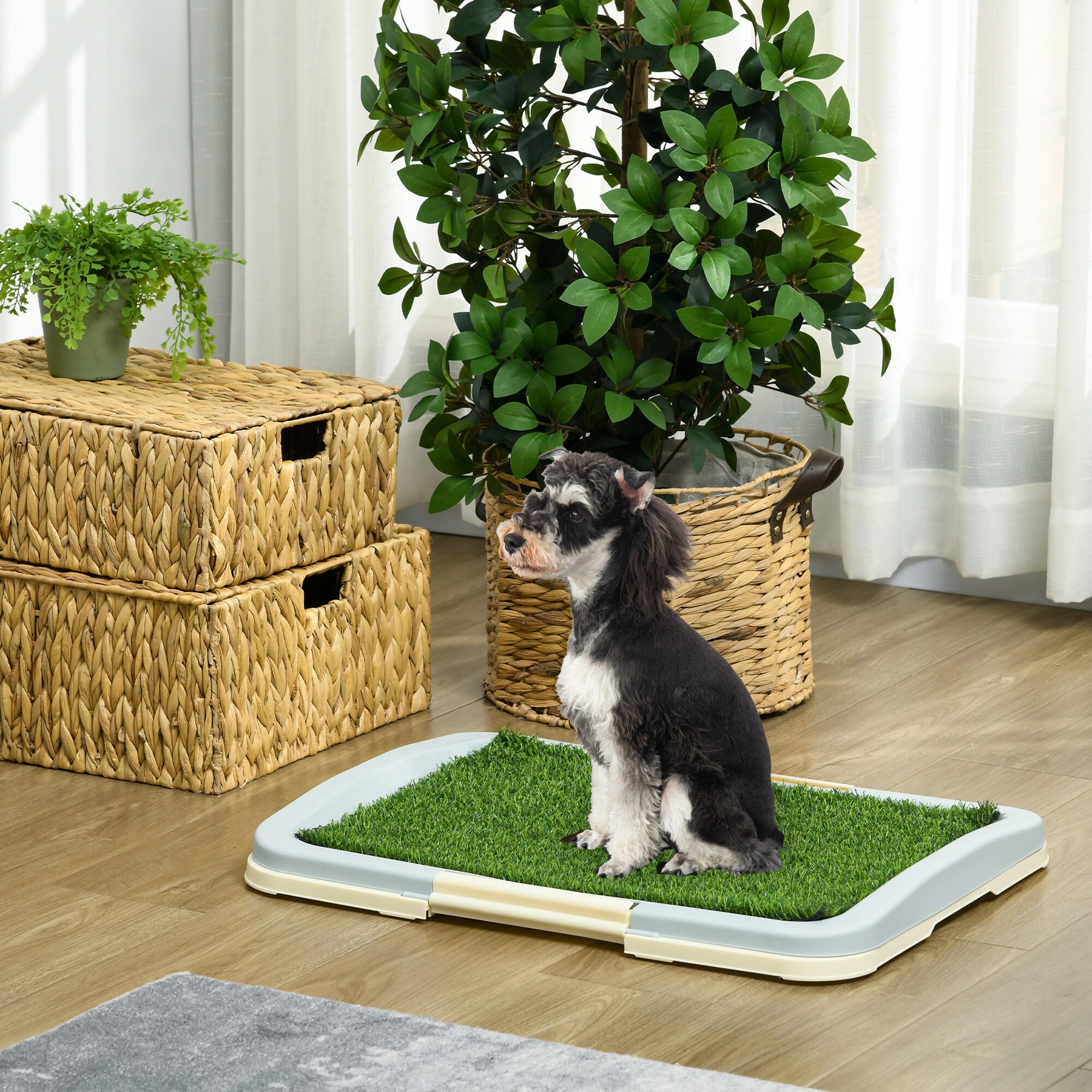 PawHut Welpentoilette mit Anti-Rutsch-Fußmatten grün 63L x 48,5B x 6H cm