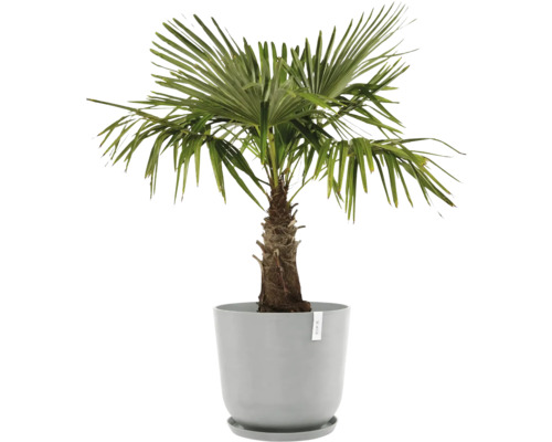 Ecopots Oslo kunststof bloempot, Ø 52,3 cm, 55 x 55 x 48,5 cm, grijswit