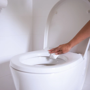 HG Hygiënische Toiletbrilreiniger 90ML