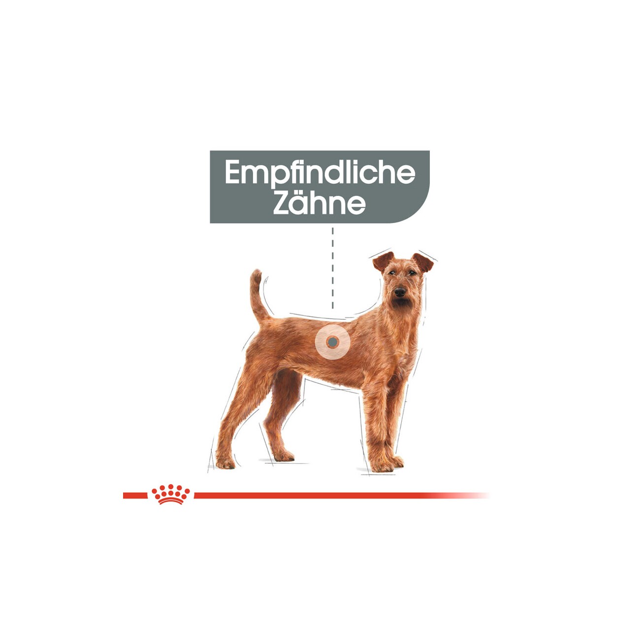 ROYAL CANIN Dental Care Medium 3 kg