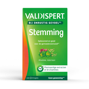 Valdispert Stemming Dragees 40ST