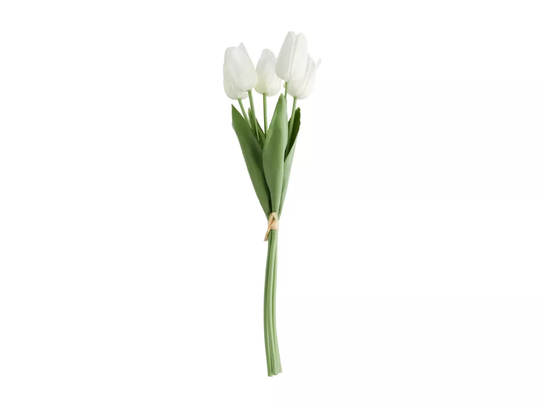 Bouquet Tulipano Blanc Moyen 7x14x45