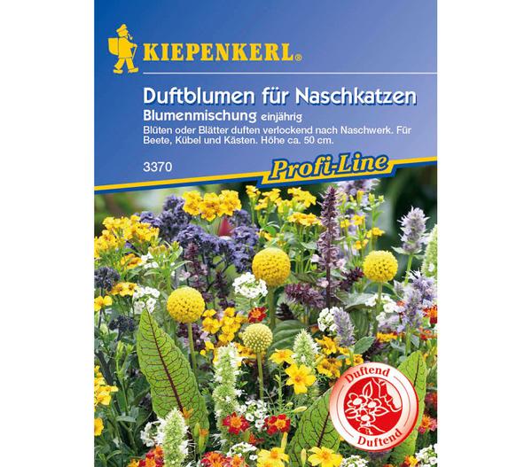 Duftblumen für Naschkatzen Mix, Saatgut von