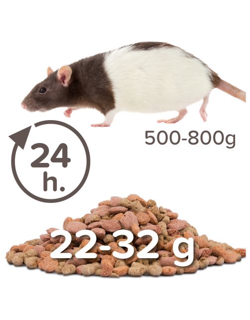 Beaphar Care Plus Rat - Rattenvoer