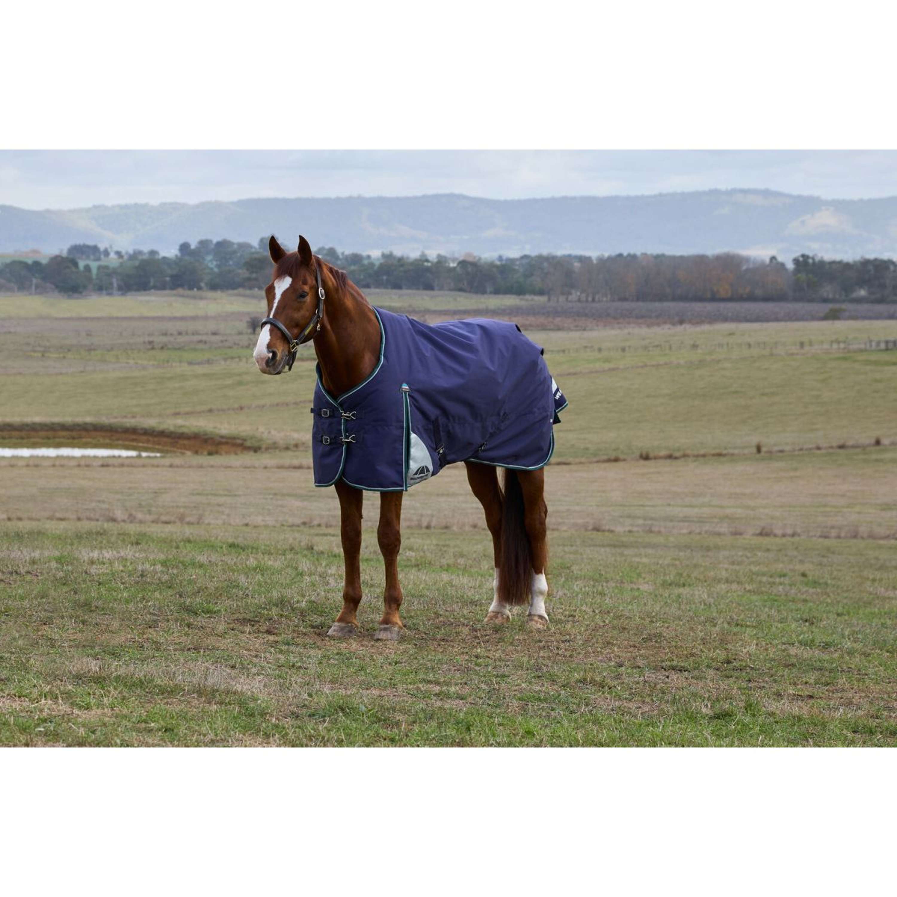 WeatherBeeta ComFiTec Plus Dynamic Turnout 0g Navy/Forest Green