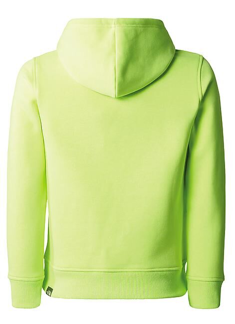 THE NORTH FACE - SWEAT TENN DREW PEAK P/O HOODIE