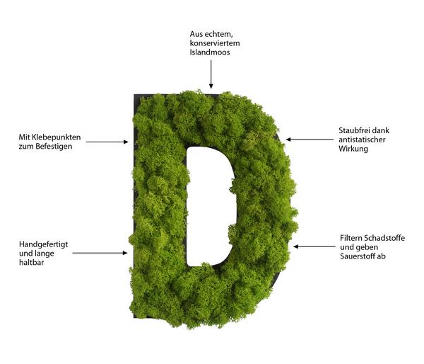 styleGREEN Buchstaben aus Islandmoos, ca. H25