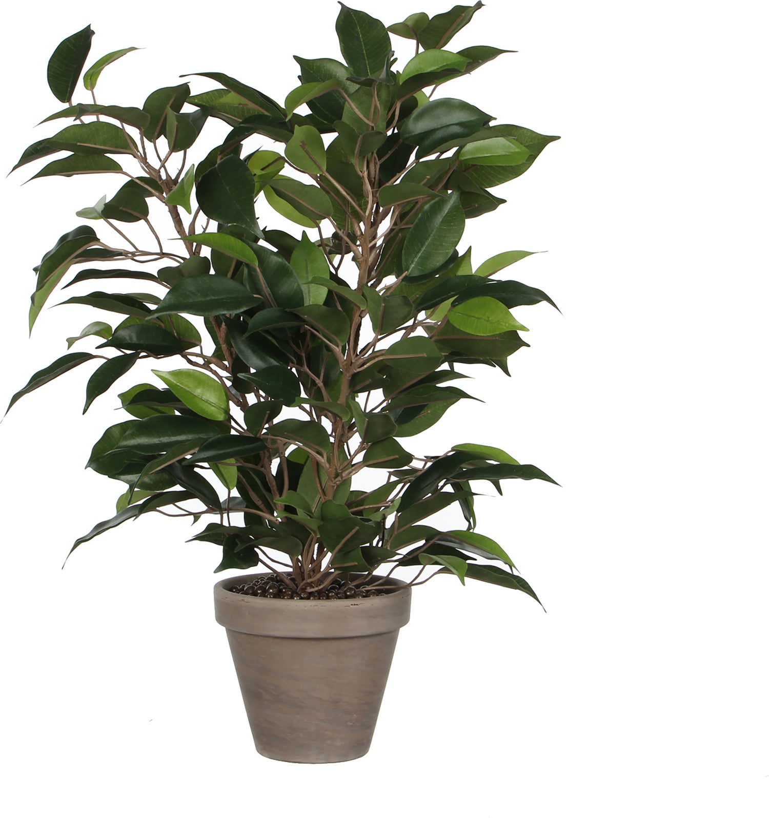 Mica Decorations kunstplant Ficus D 30 H 40 cm
