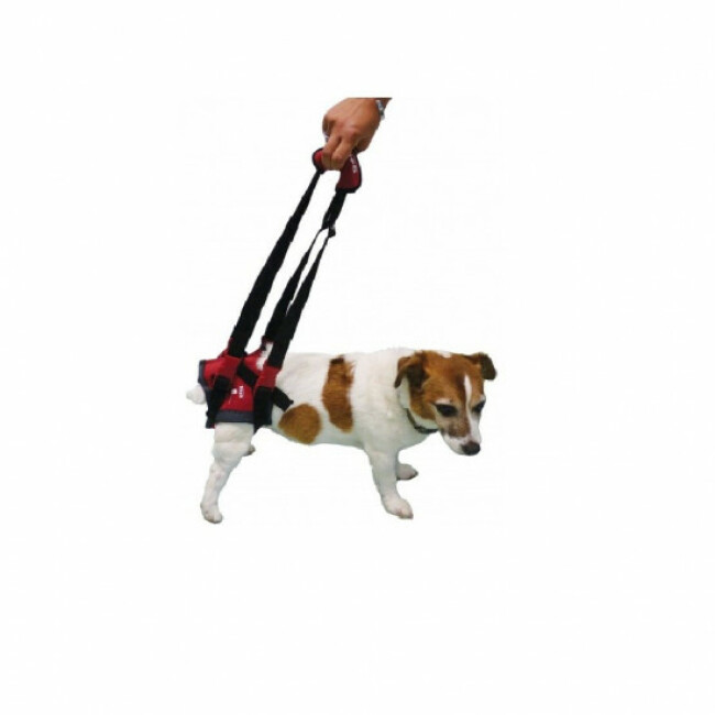Baudrier postérieur de portage chien et chat handicapés Handy canis