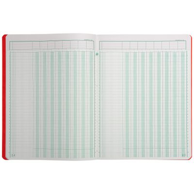 Exacompta - Piqûre à tête paresseuse - 8 colonnes sur 1 page - 32 x 25 cm - 80 pages