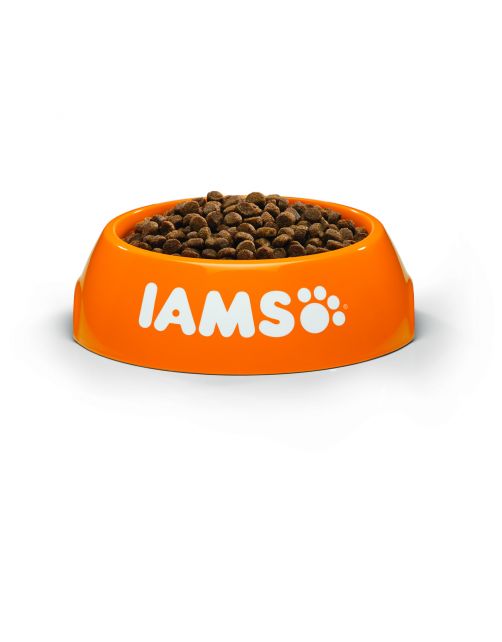 Iams Kitten & Junior Kip - Kattenvoer
