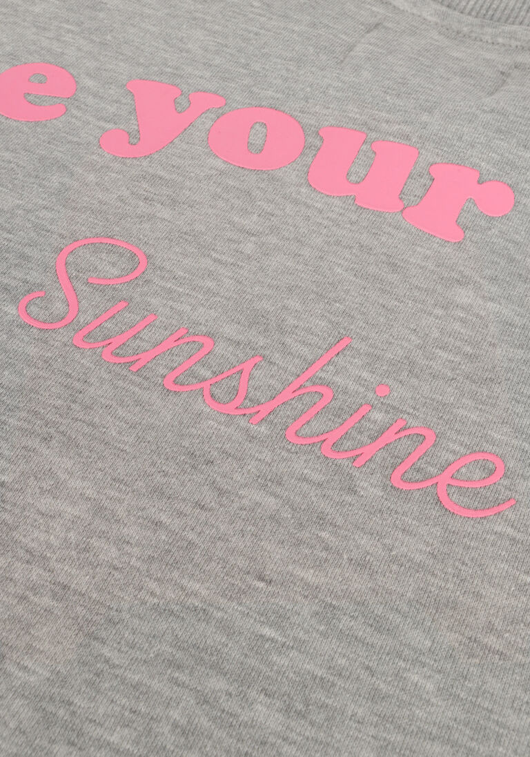 SOFIE SCHNOOR lichtgrijze sofie schnoor sweater s231249