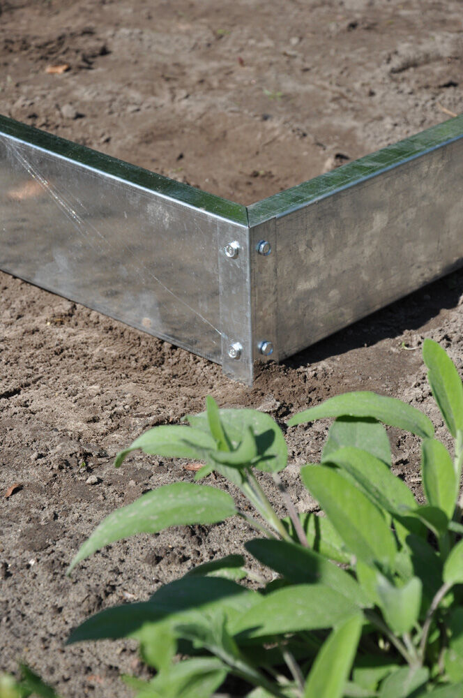 Royal Well Kate I - Tuinkas - Groen - 217x192x192 cm - Veiligheidsglas & polycarbonaat