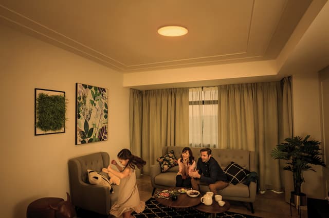 Philips Izso loftslampe 24W med fjernbetjening
