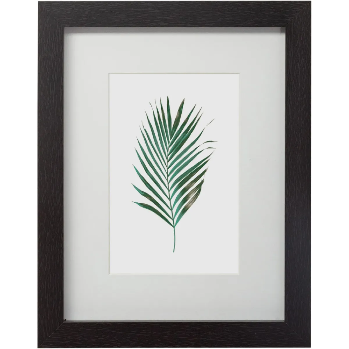 Atmosphera, Createur D'Interieur Atmosphera Cadres Muraux Tropical