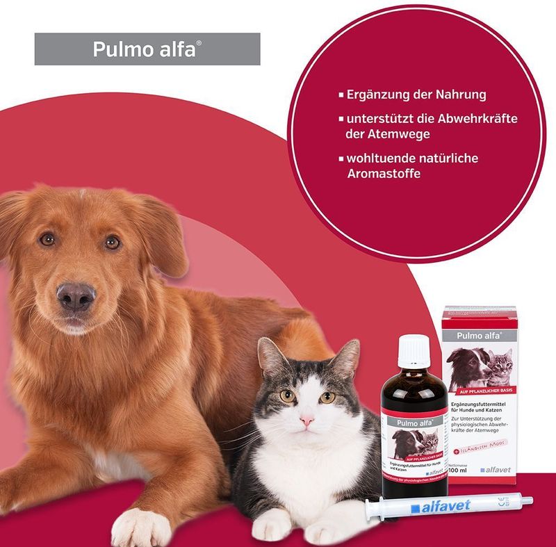 Fendiresp - Voedingssupplement - Siropen - Natuurlijke Aromatische Stoffen