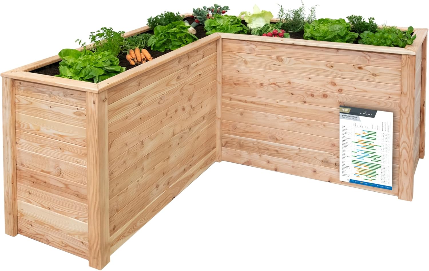 WESTMANN Hochbeet Klassik L aus Lärchenholz inkl. Aussaatkalender| 170x170x84 cm Natur | Kräuterbeet für den Außenbereich | Holzhochbeet zum Bepflanzen von Gemüse & Kräutern