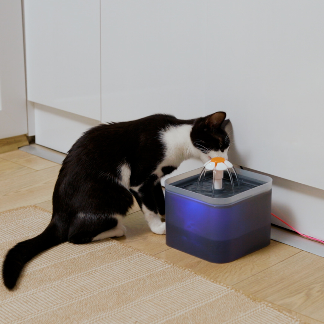 (2L) Katzen Trinkbrunnen LED Hunde Wasserspender mit Aktivkohlefilter   Wasserpumpe