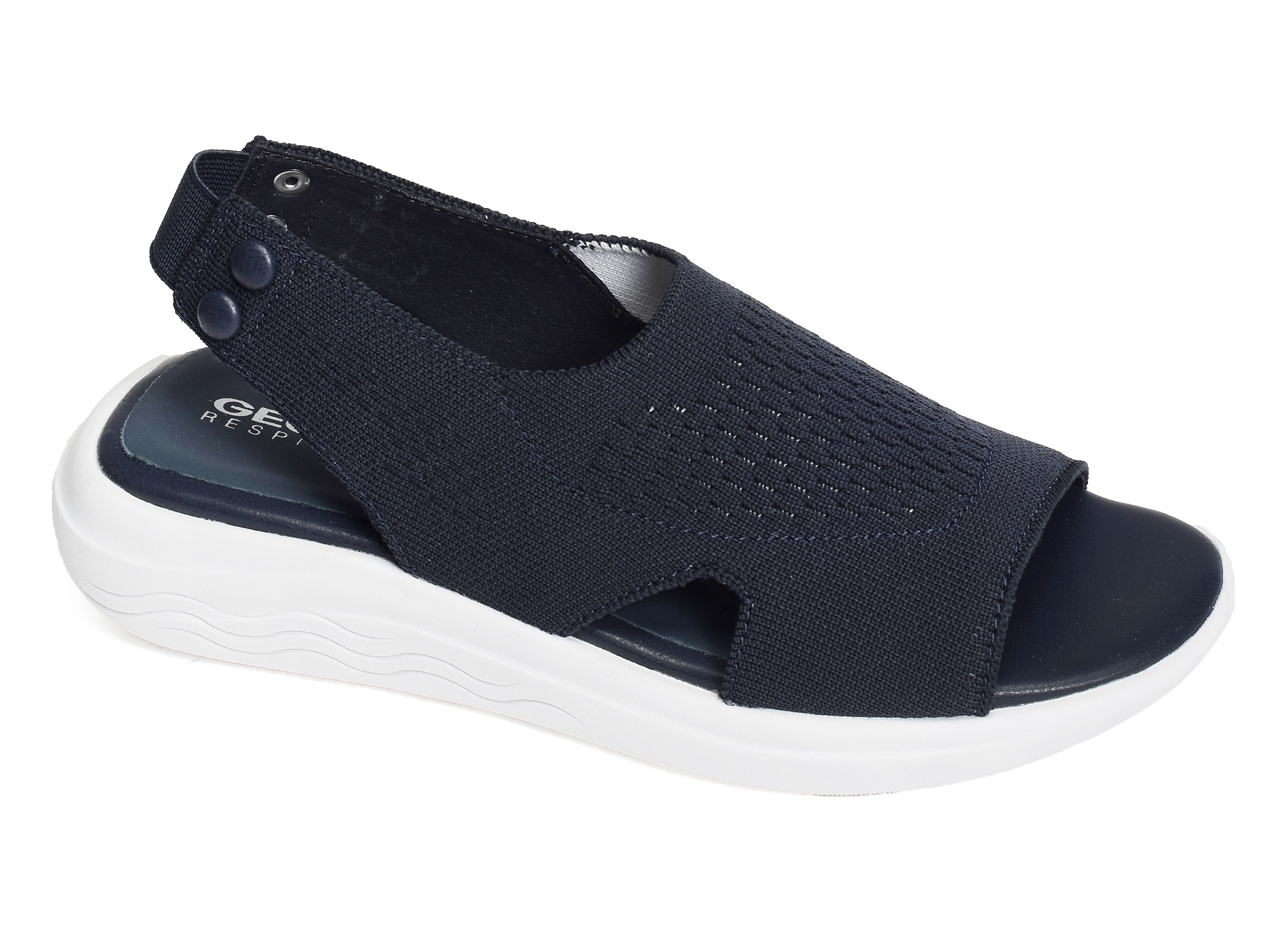 D spherica ec5 marine