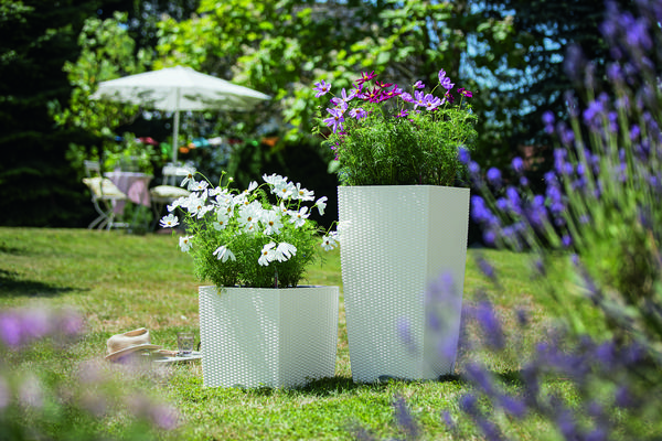 LECHUZA® Kunststoff-Topf Cubico Cottage,
