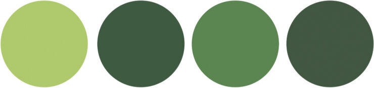 Sui Ava 4-pack Basic Essentials Elastics New greens