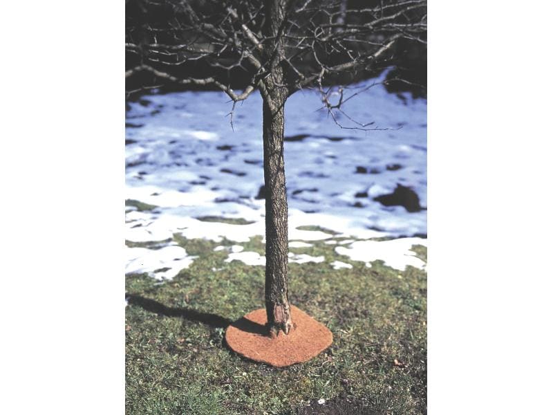 Windhager Kokos-Winterschutz-Matte Frostschutz für Pflanzen