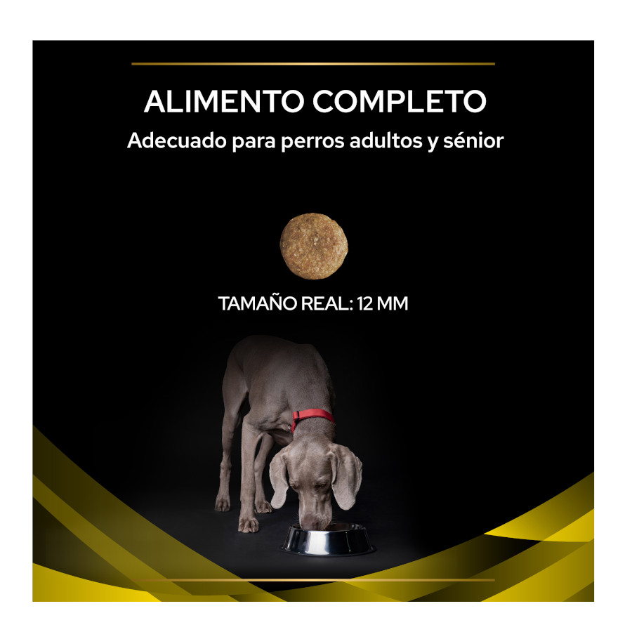Ração para cães Pro Plan Veterinary Diets NC Neurocare