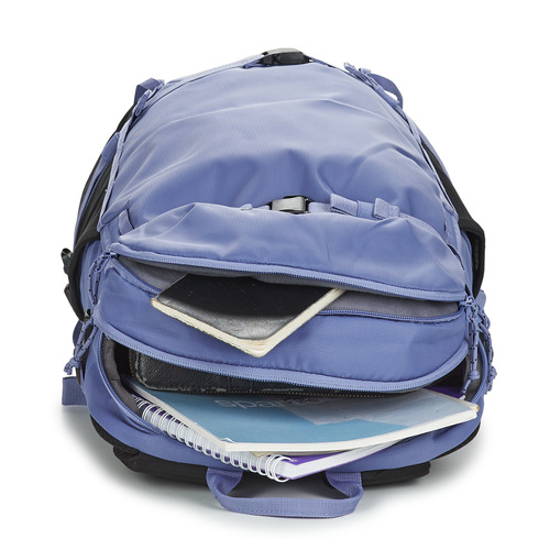 Burton - DAY HIKER PACK 22L - Bleu