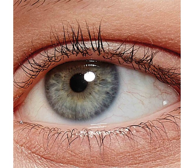 L'ORÉAL PARIS False Lash MascaraBlack