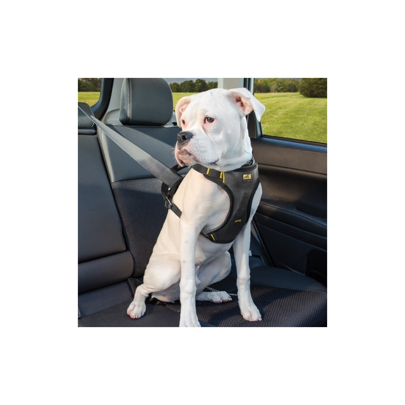 Kurgo Autogeschirr Impact Seatbelt S