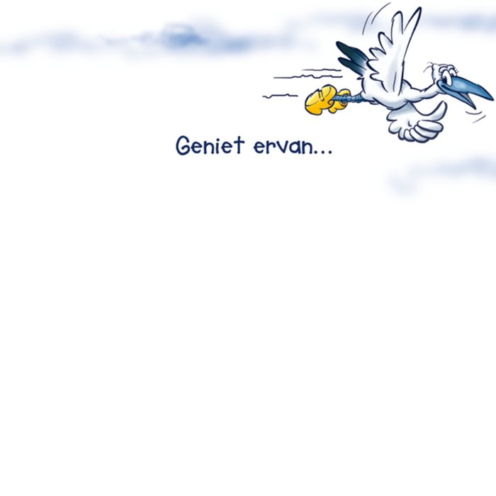Old Dutch | Geboortekaart | ooievaar