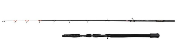Canne Casting Penn Marine Brigade Dentex 1.90m (50-150g)