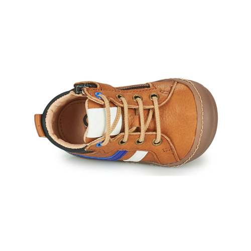 GBB - CALVO FLEX - Marron