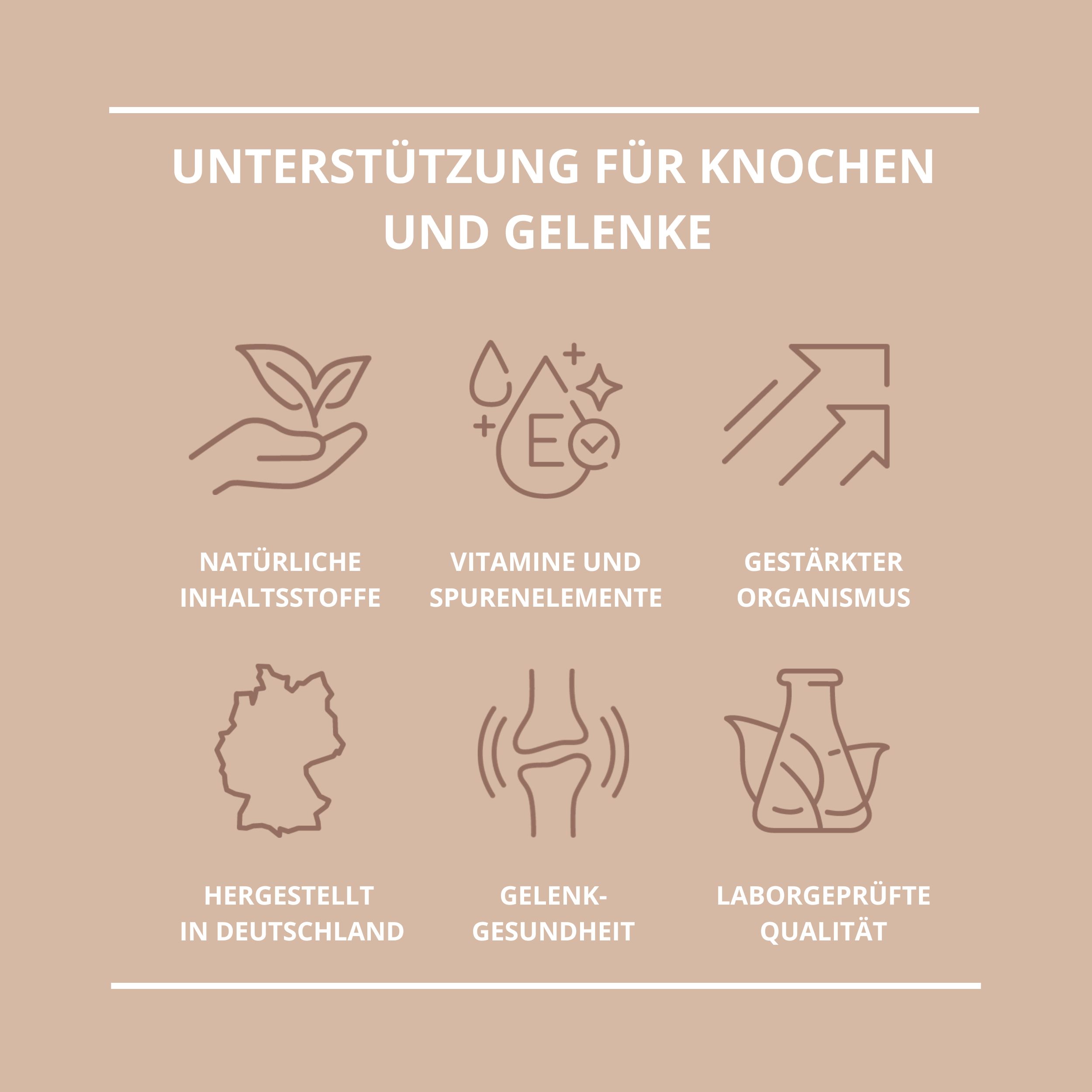 PROMETHEUS Gelenke Plus+