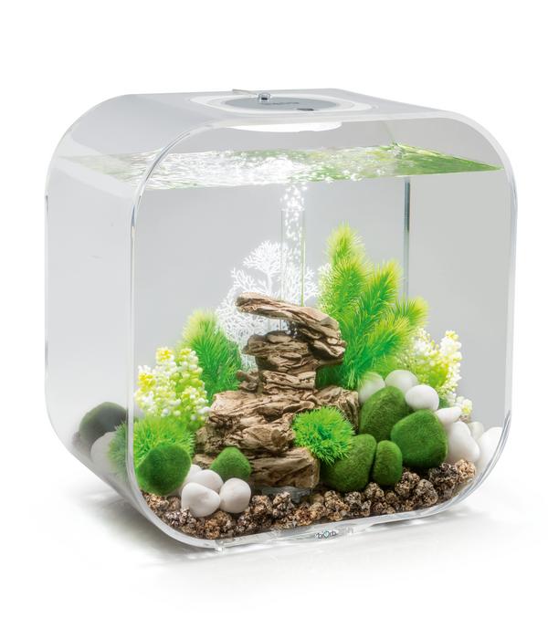 biOrb® Aquarium LIFE 30 MCR
