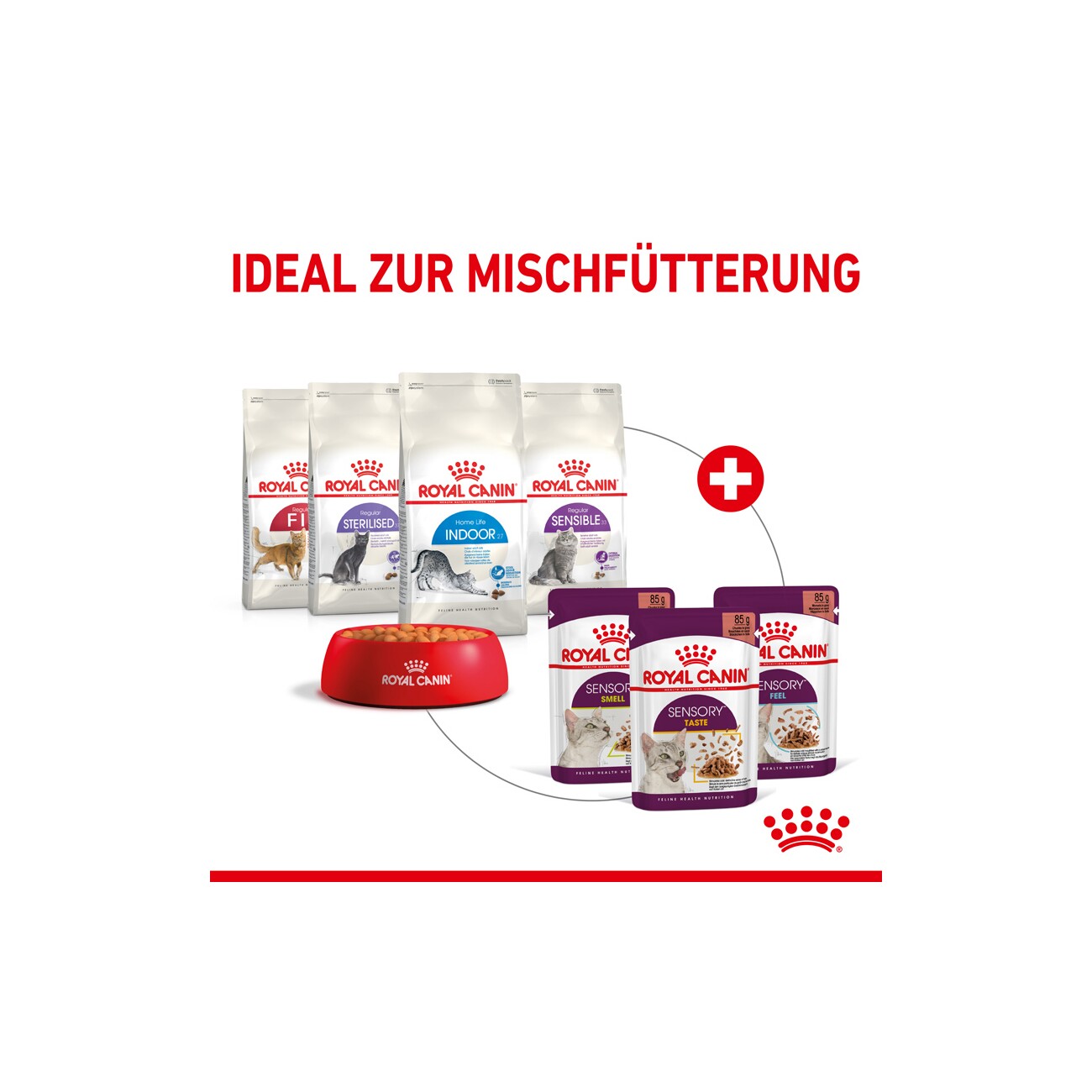 ROYAL CANIN SENSORY Taste in Gelee für wählerische Katzen 12x85g