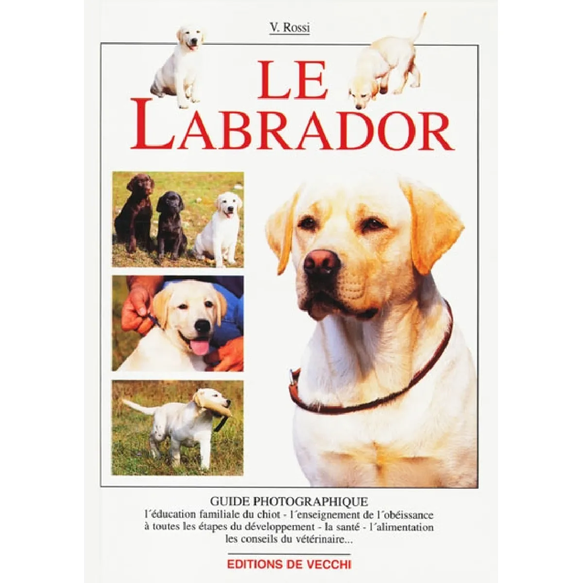 Le labrador · Occasion