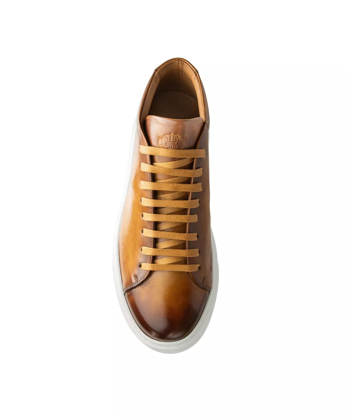 Sneakers montante MODENA Gold
