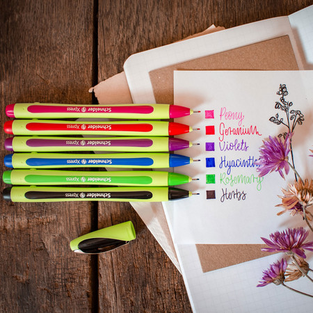 Schneider Xpress Etui Fineliner - 0.8 mm