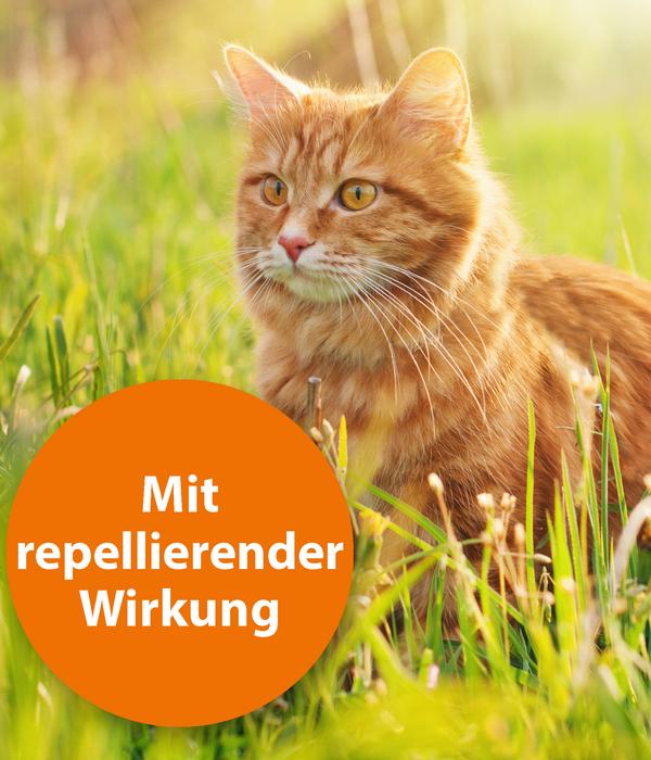 ARDAP® Zecken- und Flohschutz Spot-On für