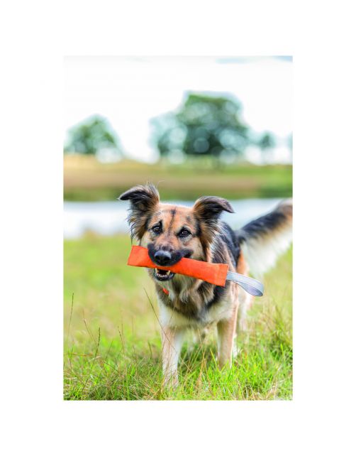 Trixie Trainingsdummy Polyester - Hondensport - Ø 6x14\/25 cm