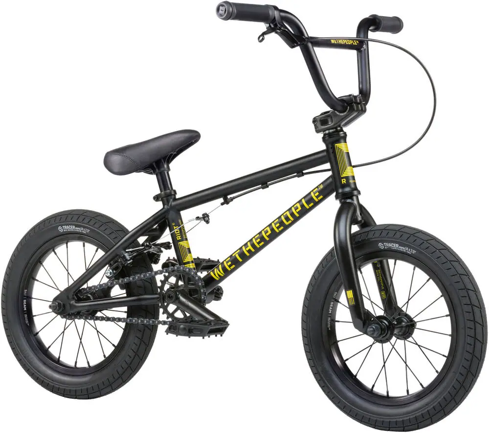 Wethepeople Riot 14