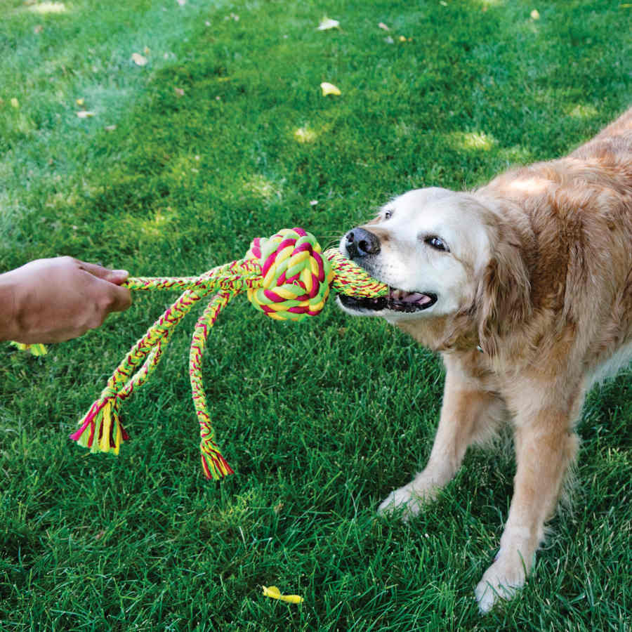 Kong Wubba tece corda para cães
