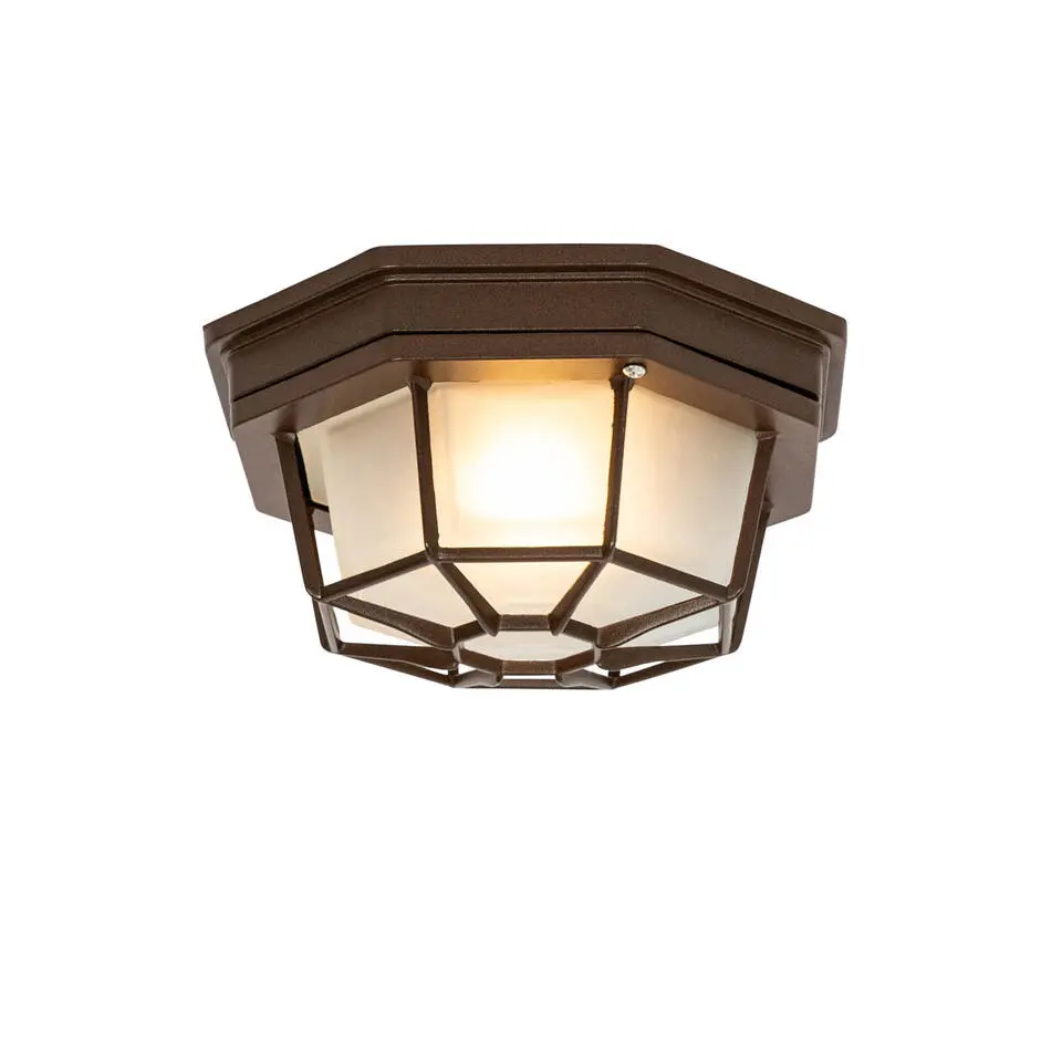 Qazqa plafondlampen buiten bri bronskleurig e27