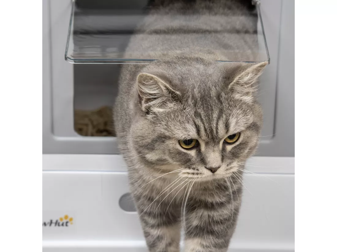 Maison de toilette pliable pour chat - tiroir à litière coulissant, porte battante et trappe transparente, pelle - blanc gris