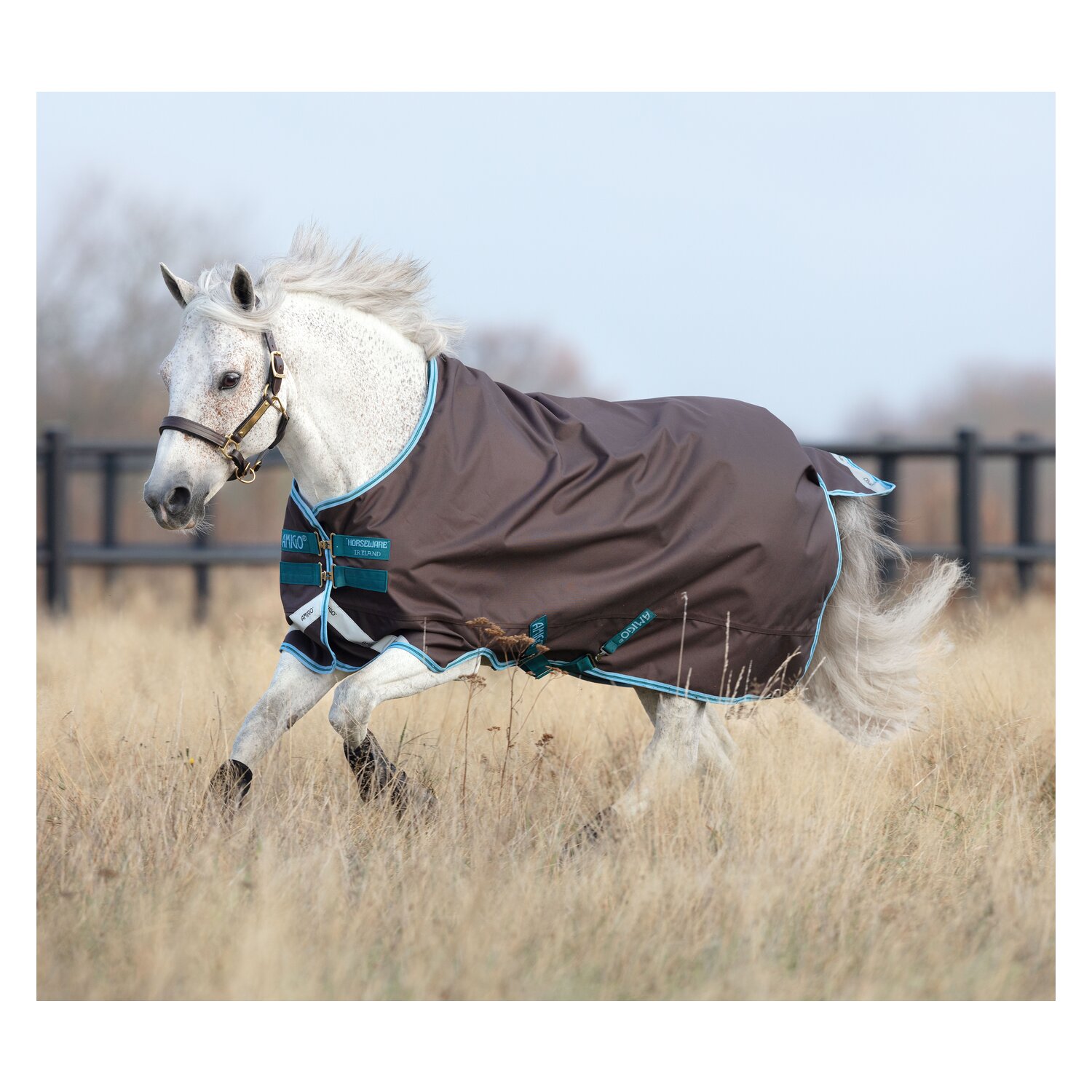 HORSEWARE Outdoordecke AMIGO Bravo 12 Lite Pony - excalibur/aqua