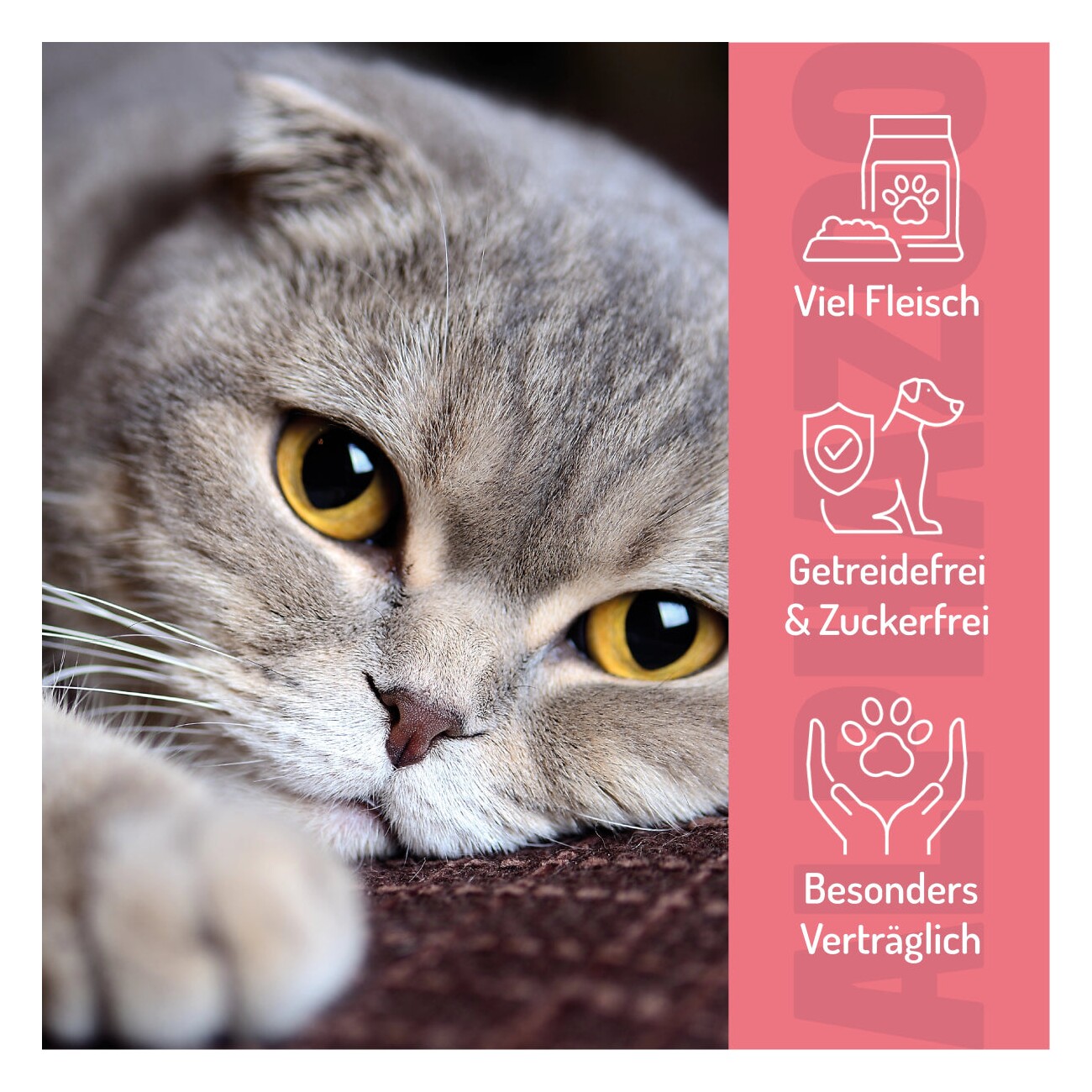 ALPHAZOO Verlachst Nochmal 65g I Leckerli für Katzen